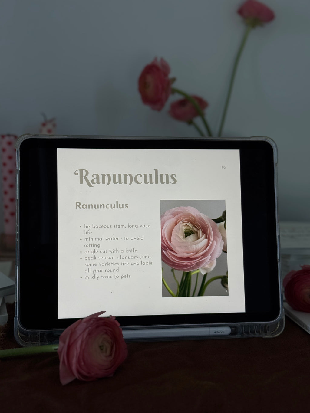 Whispers of the Vase: A Library of Cut Flowers